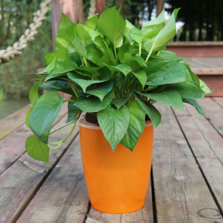 Nordic Hydroponics Flower Pot