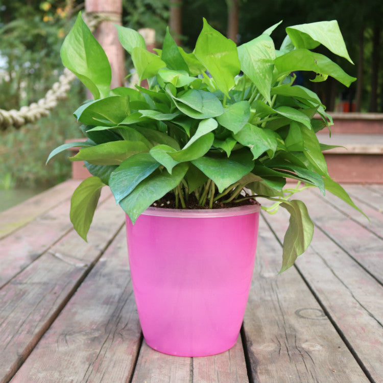 Nordic Hydroponics Flower Pot