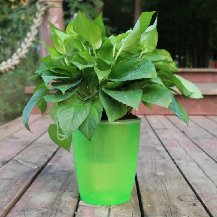 Nordic Hydroponics Flower Pot