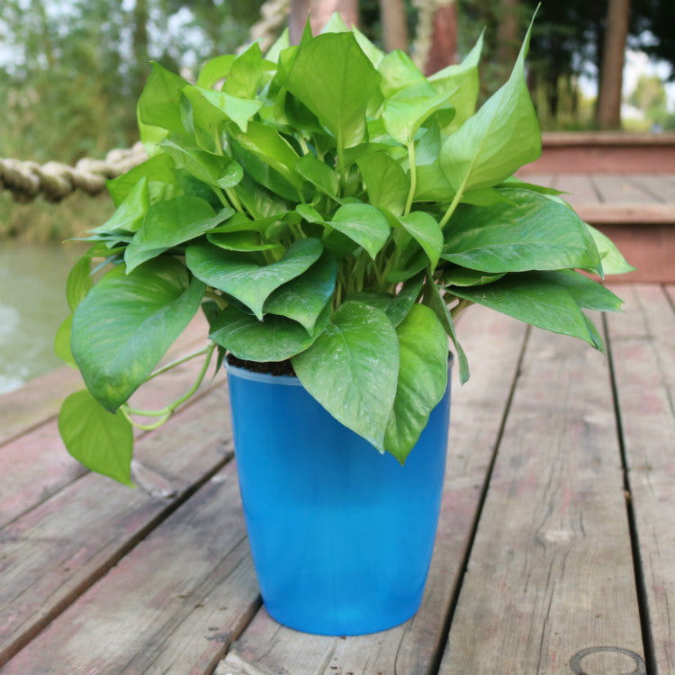 Nordic Hydroponics Flower Pot