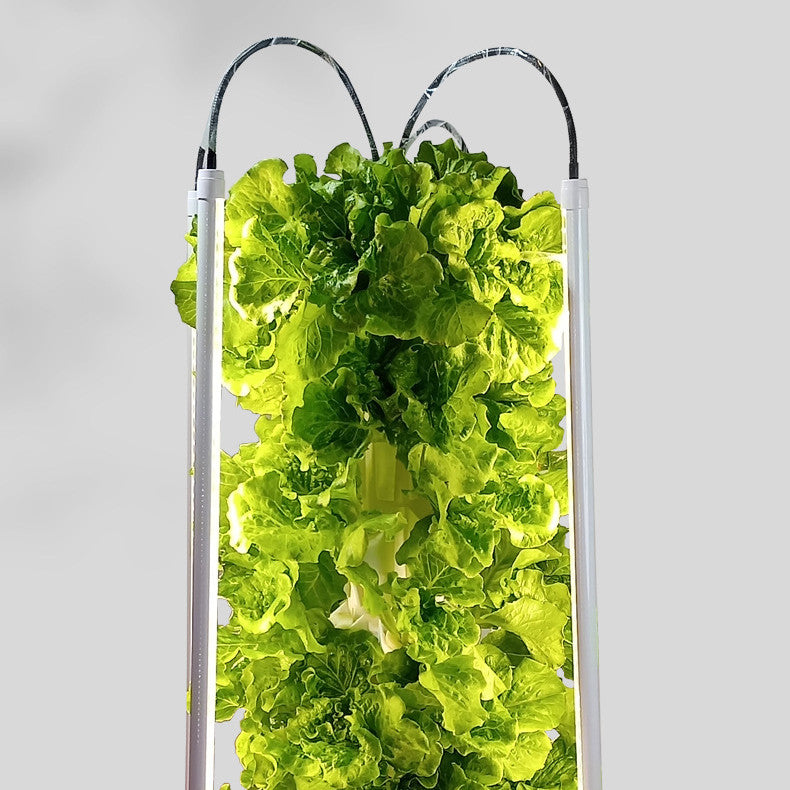 Aeroponic Tower with LED lights