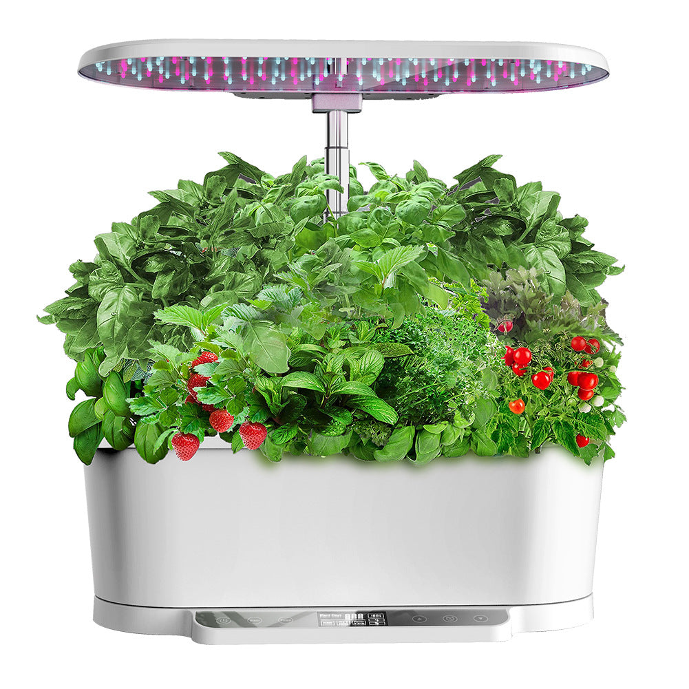 Fully Automatic Hydroponics Planter System